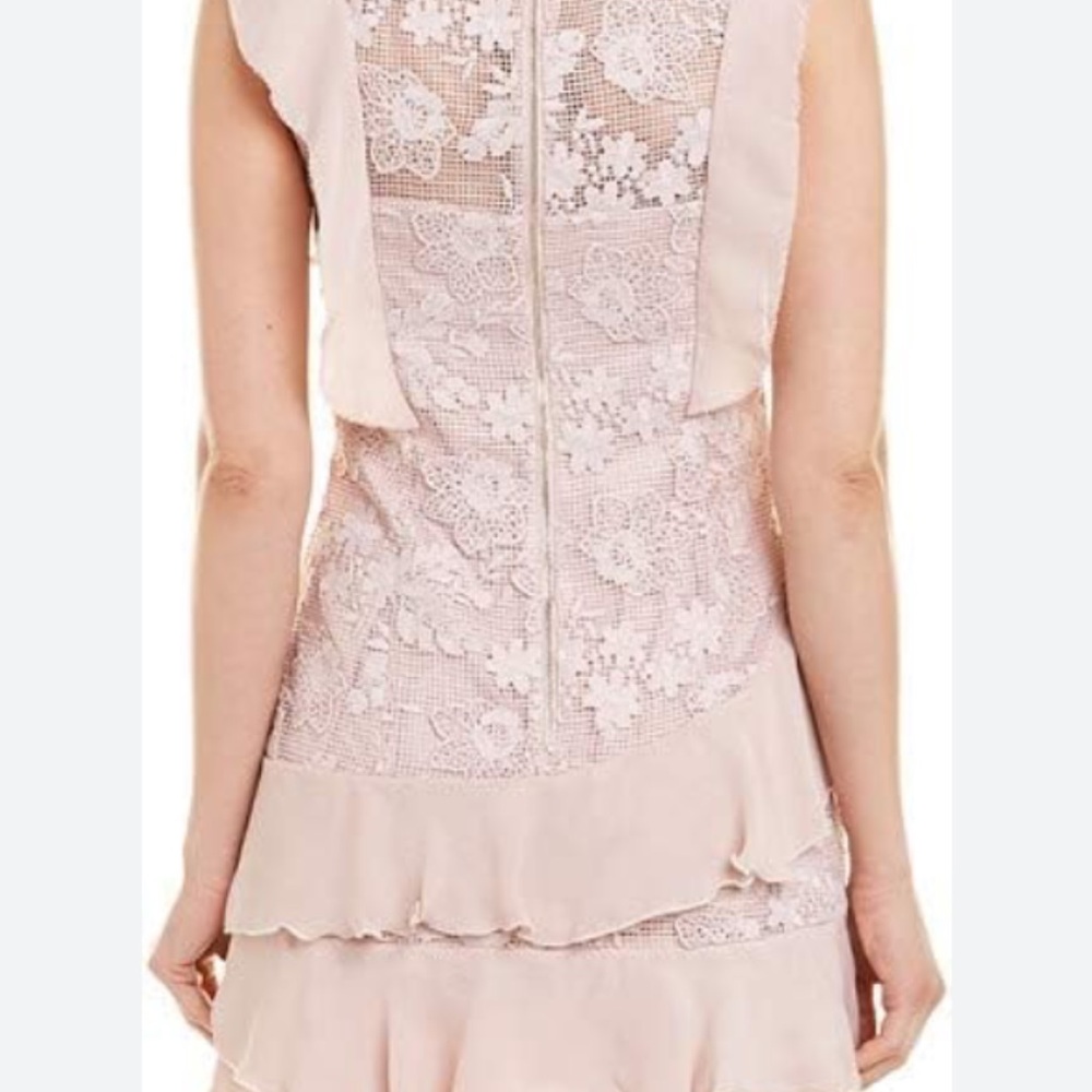 Parker Womens Dresses Parker Gabriel Dusty Light Pink Lace Ruffle Mini Dress - Picture 2 of 6